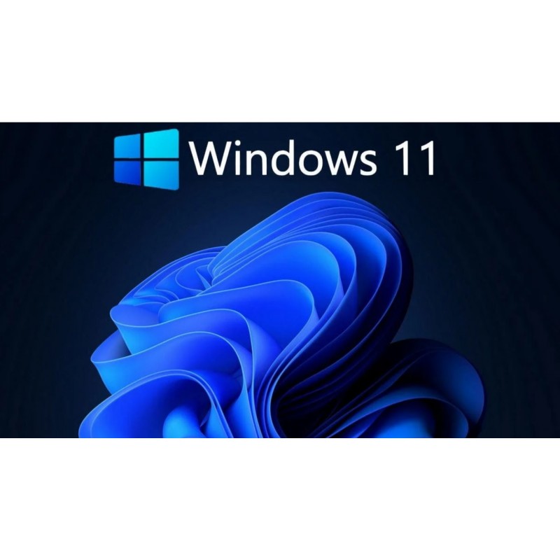 Windows 11 Pro USB flash
